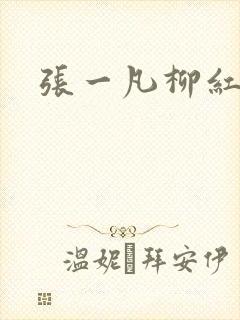 张一凡柳红