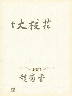 t大校花