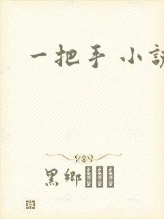 一把手 小说