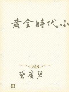 黄金时代小说封面
