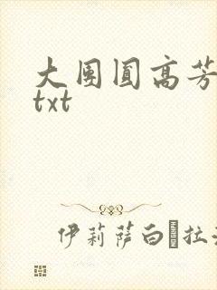 大团圆高芳小说txt