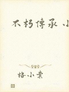 不朽传承 小说