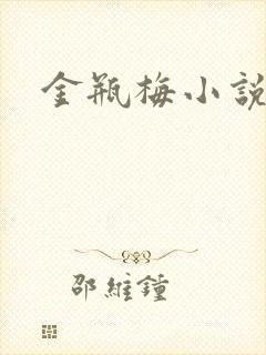 金瓶梅小说下载封面