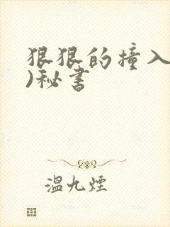 狠狠的撞入(h)秘书