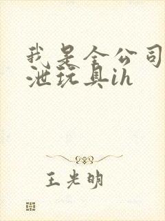 我是全公司的发泄玩具ih封面