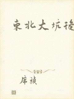 东北大坑后续2