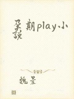 孕期play小说