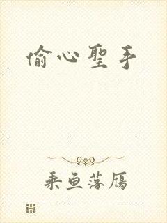 偷心圣手