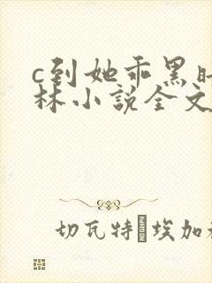 c到她乖黑暗森林小说全文阅读