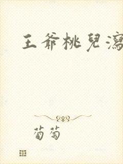 王爷桃儿泻了封面
