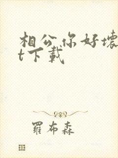 相公你好坏txt下载