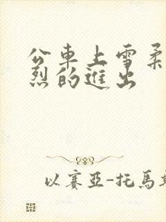 公车上雪柔被猛烈的进出