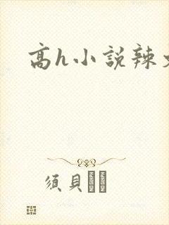 高h小说辣文