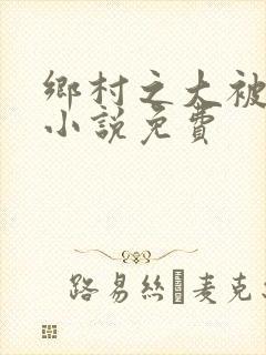 乡村之大被同眠小说免费