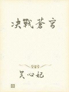 决战苍穹封面