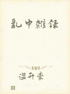乱中杂录