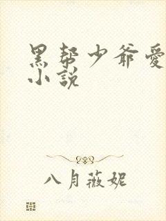 黑帮少爷爱上我小说封面
