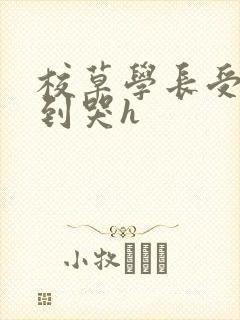 校草学长受被做到哭h