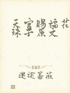 天官赐福花怜塞珠子原文封面