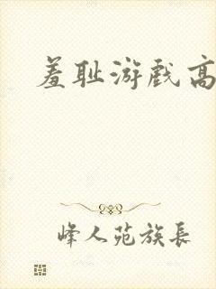 羞耻游戏高h封面
