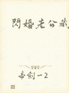 闪婚老公藏不住封面