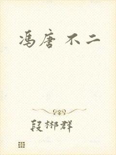 冯唐 不二封面