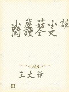 小蘑菇小说免费阅读全文