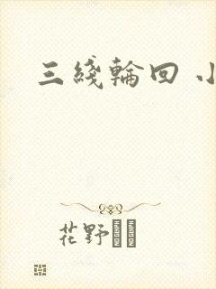 三线轮回 小说封面