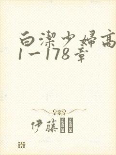 白洁少妇高义第1一178章封面