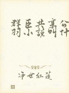 群臣共享公主银羽小说叫什么封面