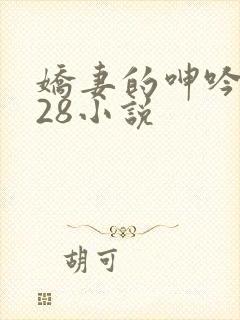 娇妻的呻吟1—28小说封面