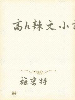 高h辣文小说