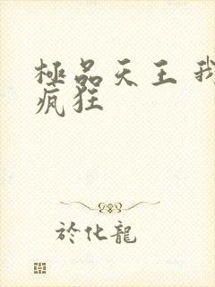 极品天王 我本疯狂