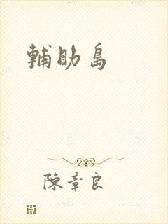 辅助岛
