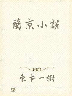 兰京小说