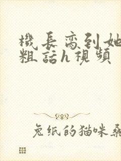 机长脔到她哭h粗话h视频