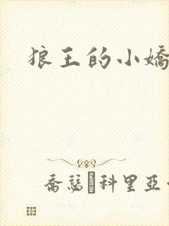 狼王的小娇妻封面