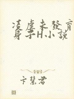 凌虐未发育的小身子H小说