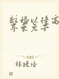 离婚以后高干 耳东兔子封面