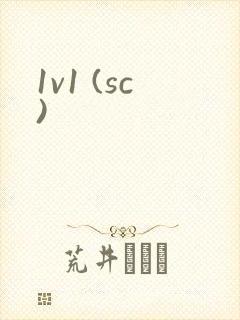 1v1 (sc)