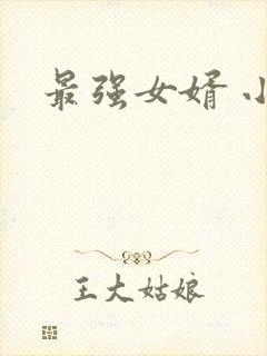 最强女婿 小说