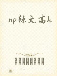 np辣文高h