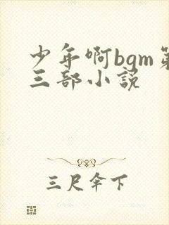 少年啊bgm第三部小说封面