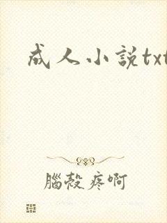 成人小说txt