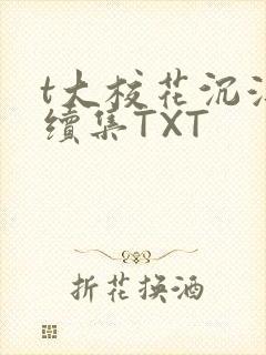 t大校花沉浮录续集TXT