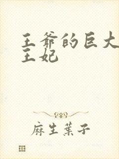 王爷的巨大进入王妃