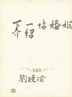 下一站婚姻剧情介绍