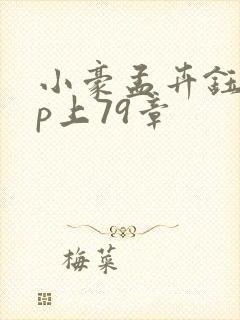 小豪孟卉钰慧三p上79章