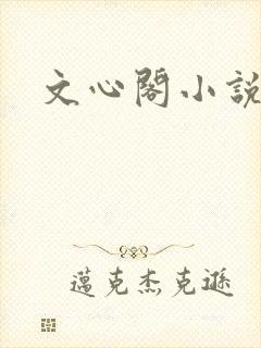 文心阁小说