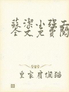 苏洁小强工地情全文免费阅读